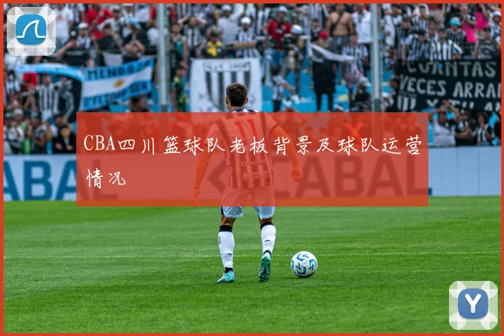 CBA四川篮球队老板背景及球队运营情况