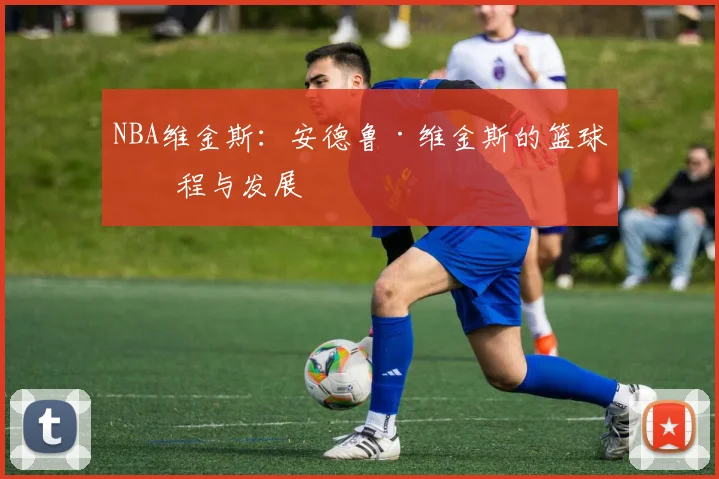 NBA维金斯：安德鲁·维金斯的篮球历程与发展
